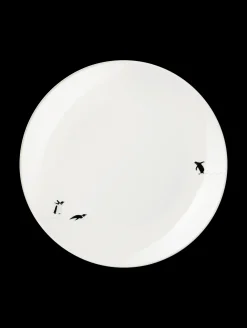 dessertteller, south pole