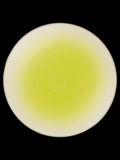 essteller koi by tim raue