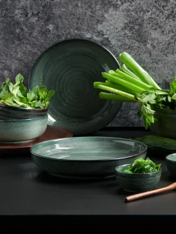 poké fusion plate, ocean