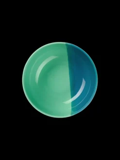 schale, blueberry smoothie